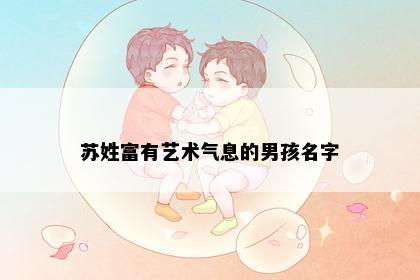 苏姓富有艺术气息的男孩名字