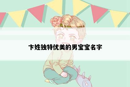 卞姓独特优美的男宝宝名字