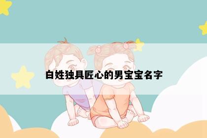 白姓独具匠心的男宝宝名字