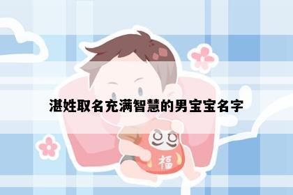 湛姓取名充满智慧的男宝宝名字