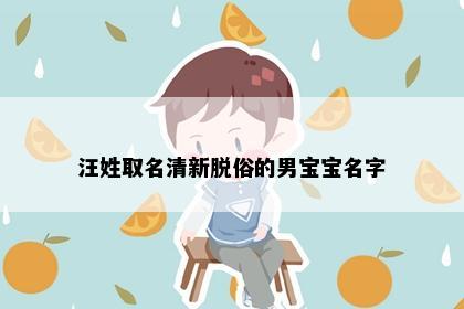 汪姓取名清新脱俗的男宝宝名字