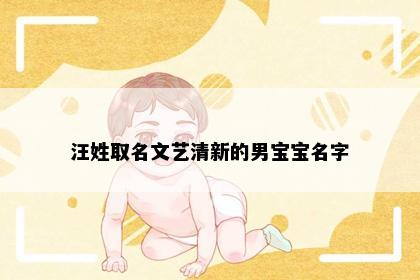 汪姓取名文艺清新的男宝宝名字