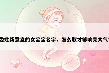 娄姓新意盎的女宝宝名字，怎么取才够响亮大气？