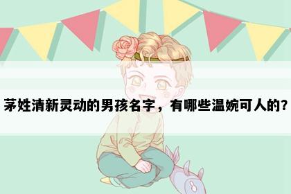 茅姓清新灵动的男孩名字，有哪些温婉可人的？