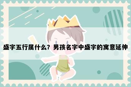 盛字五行属什么？男孩名字中盛字的寓意延伸