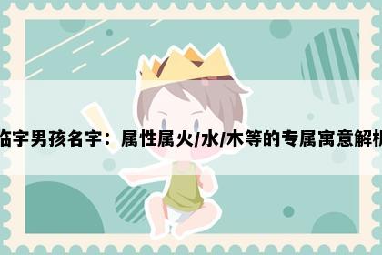 临字男孩名字：属性属火/水/木等的专属寓意解析