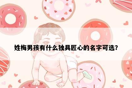 姓梅男孩有什么独具匠心的名字可选？