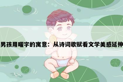 男孩用曜字的寓意：从诗词歌赋看文学美感延伸