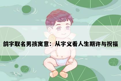 鸽字取名男孩寓意：从字义看人生期许与祝福
