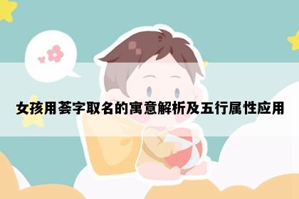 女孩用荟字取名的寓意解析及五行属性应用