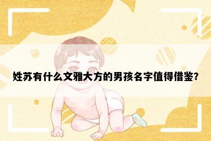 姓苏有什么文雅大方的男孩名字值得借鉴？