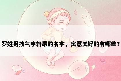 罗姓男孩气宇轩昂的名字，寓意美好的有哪些？