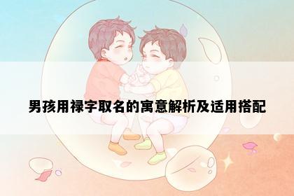 男孩用禄字取名的寓意解析及适用搭配