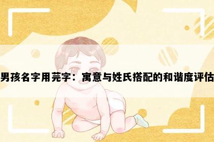 男孩名字用芫字：寓意与姓氏搭配的和谐度评估
