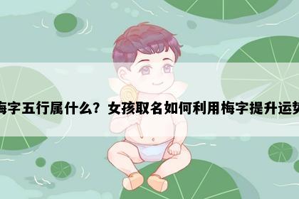梅字五行属什么？女孩取名如何利用梅字提升运势
