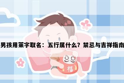 男孩用莱字取名：五行属什么？禁忌与吉祥指南