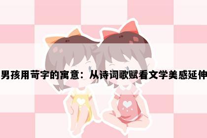 男孩用苛字的寓意：从诗词歌赋看文学美感延伸